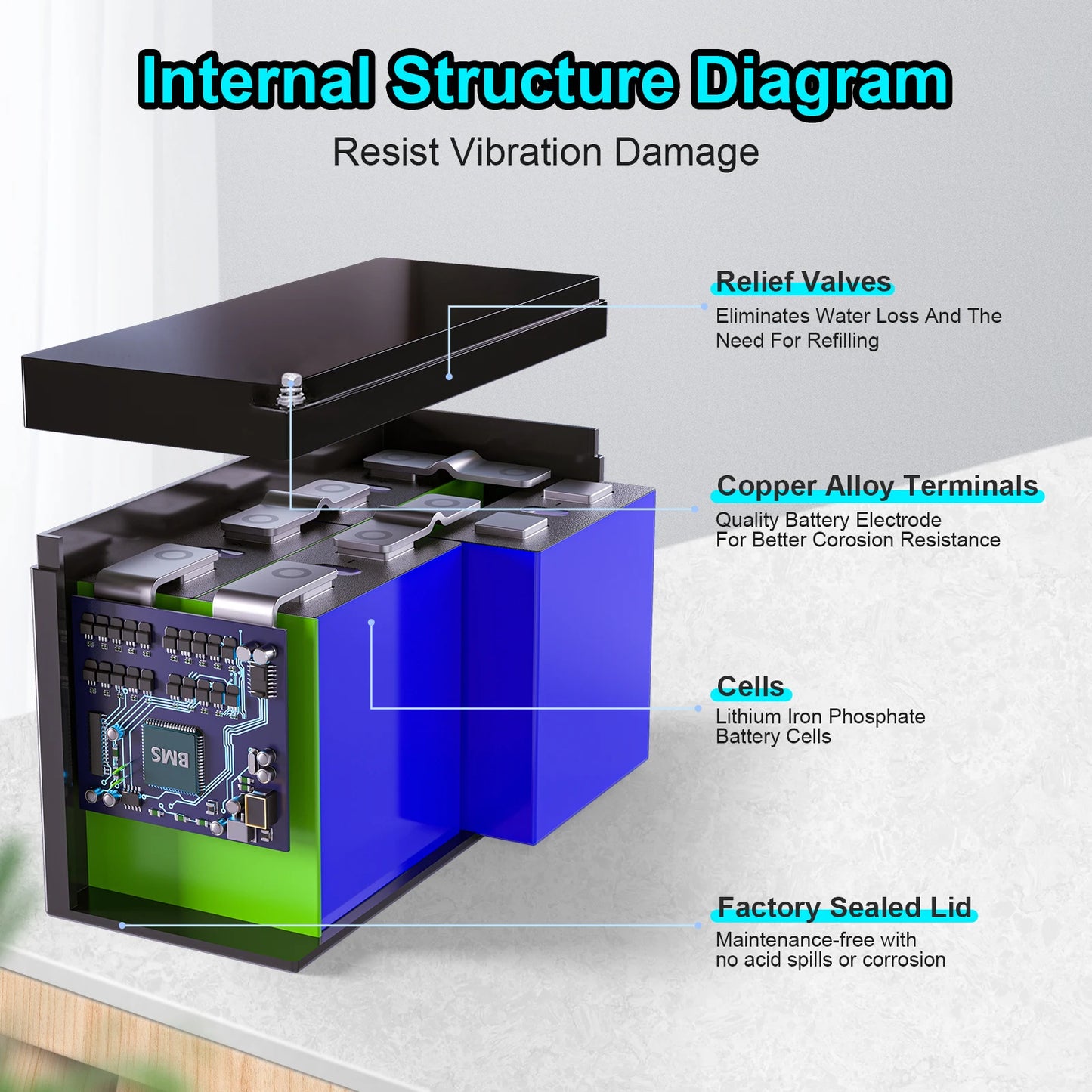LiFePO4 Lithium Battery with Built-in BMS 5000 Plus Cycles Rechargeable Battery for RV Solar Applications